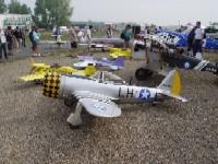 DSC00781.JPG